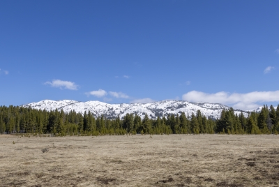 Canyon Village YNP 2025